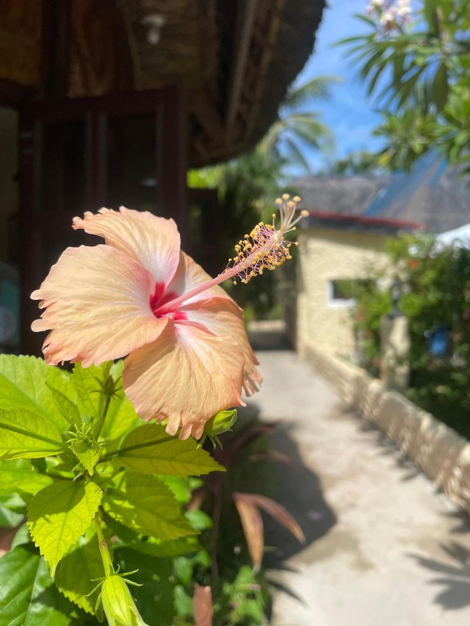 Victory Seaside Home Santa Fe  Ngoại thất bức ảnh